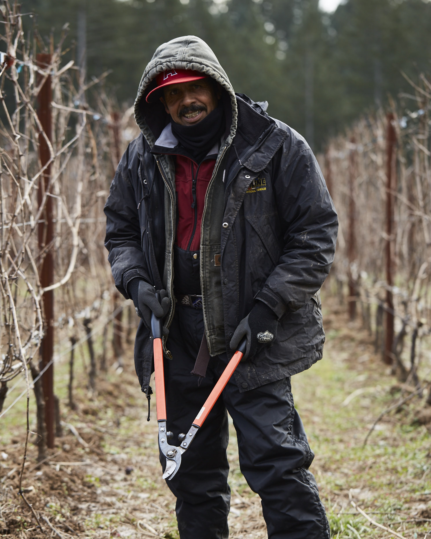 170104_JF_BF_PRUNING_175