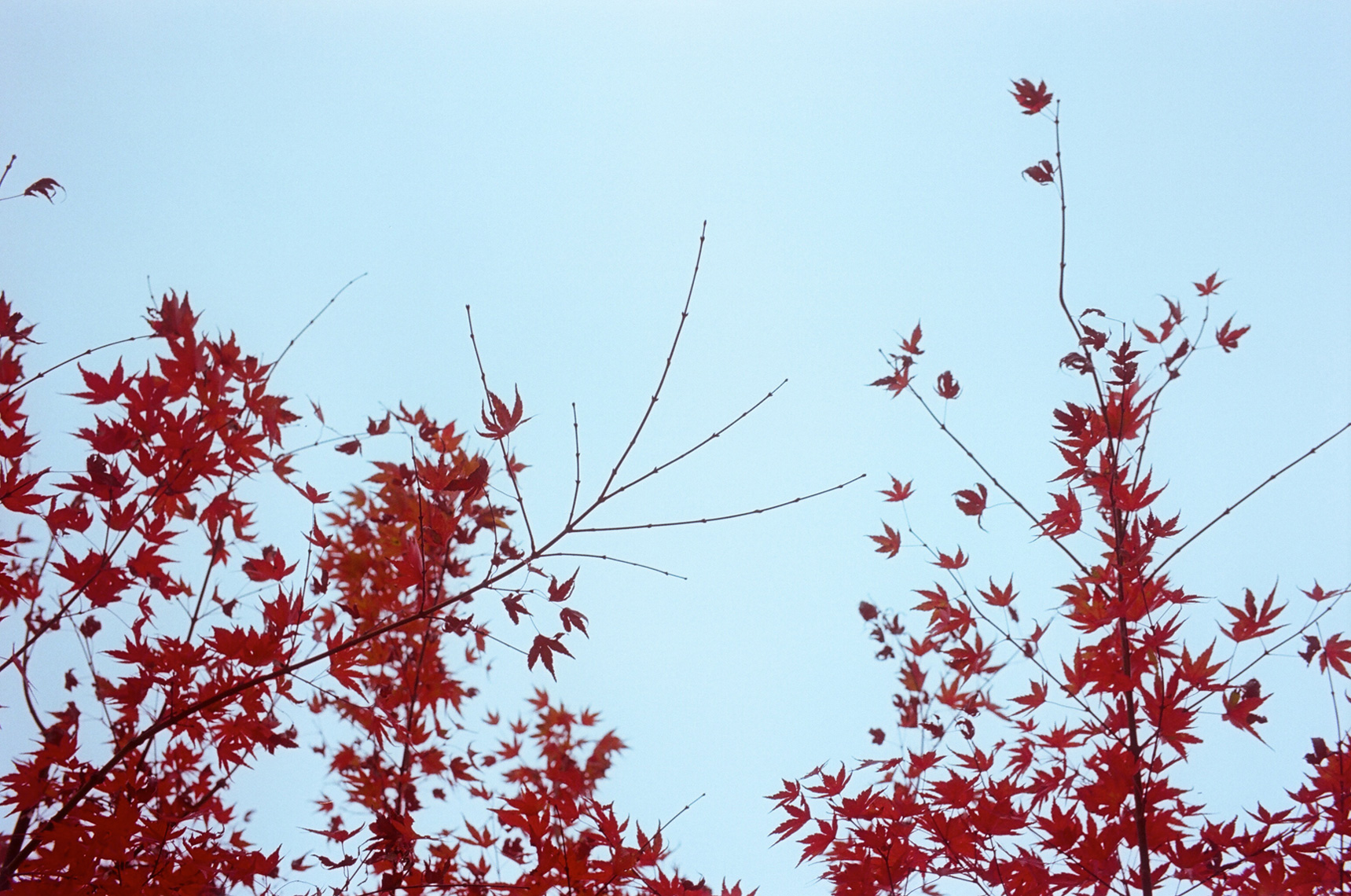 Early_Japan_014